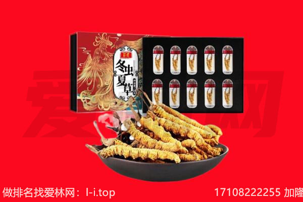 临沂临沭县回收虫草.jpg